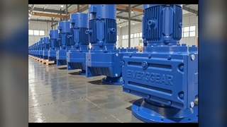 EF series flange mount gear motor